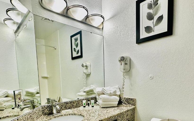 جناح ديلوكس سرير كينج, Radiant Inn And Suites