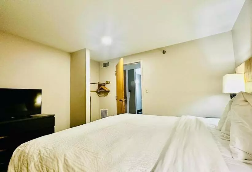 キングサイズベッドのデラックススイート, Radiant Inn And Suites