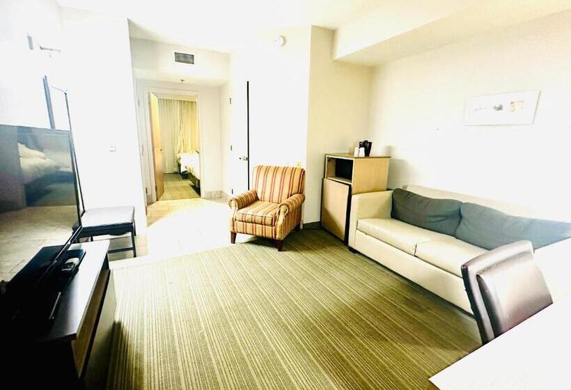 جناح ديلوكس سرير كينج, Radiant Inn And Suites