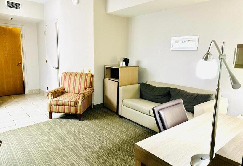 Deluxe Suite met Kingsize Bed, Radiant Inn And Suites