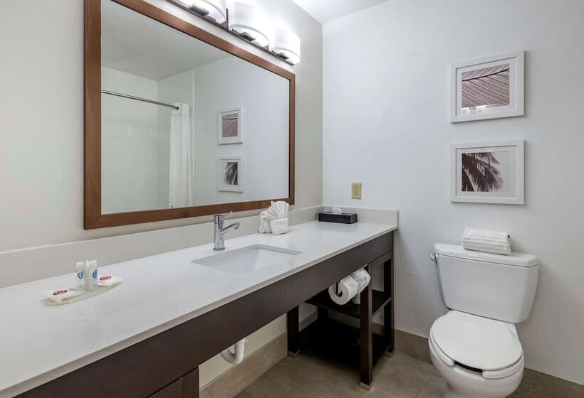 Люкс, Spark By Hilton St. Augustine I 95