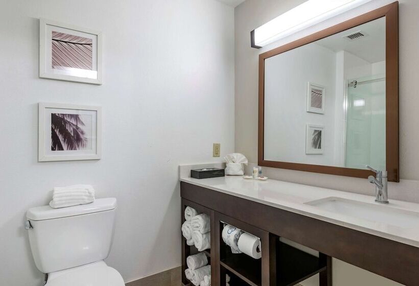 Люкс, Spark By Hilton St. Augustine I 95