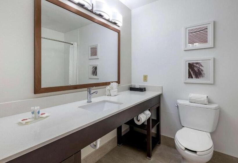 Люкс Кровать Кинг, Spark By Hilton St. Augustine I 95