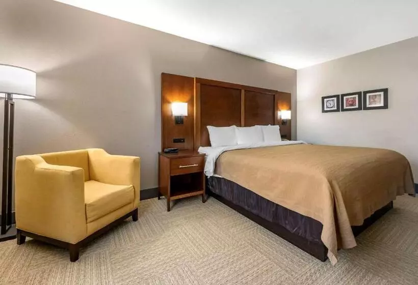 身障者適用キングサイズベッドルーム, Spark By Hilton St. Augustine I 95