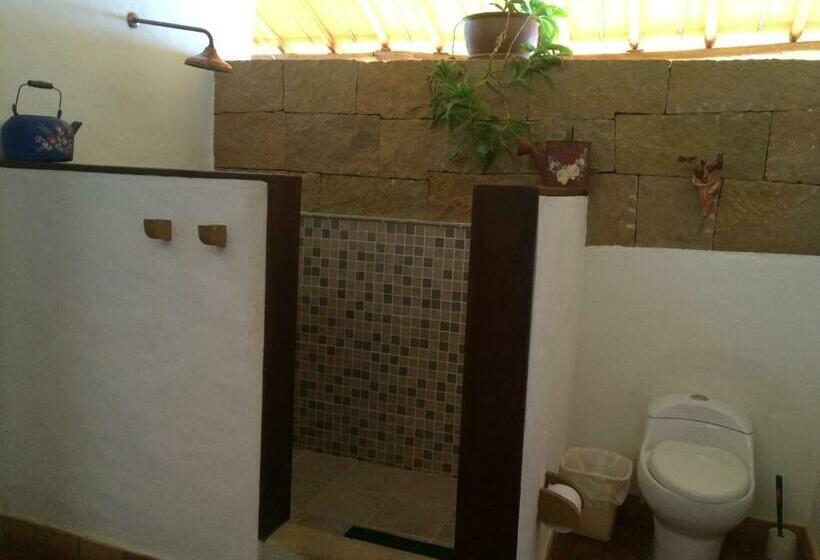 스탠다드 스튜디오, Arapaima B&b