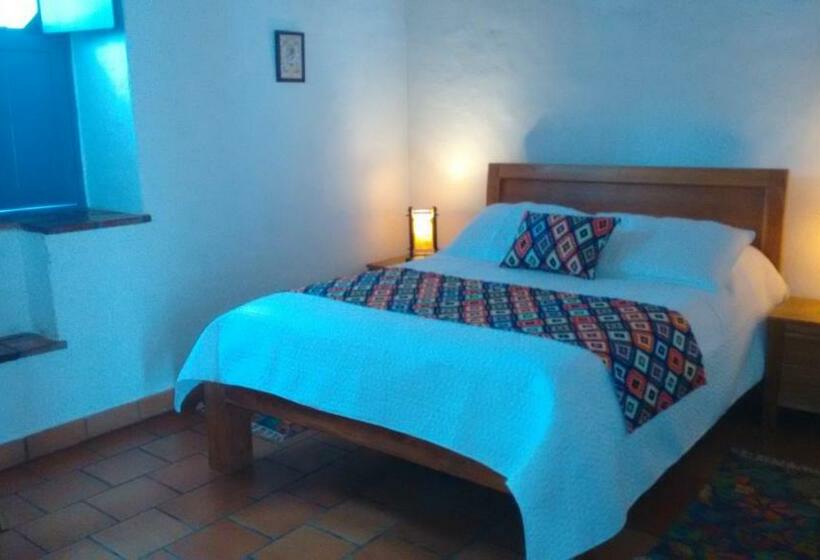 스탠다드 스튜디오, Arapaima B&b