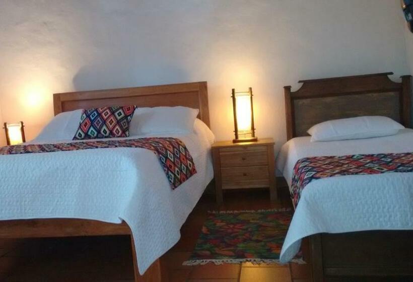 스탠다드 스튜디오, Arapaima B&b