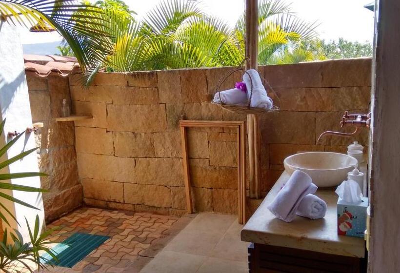 디럭스 스튜디오, Arapaima B&b