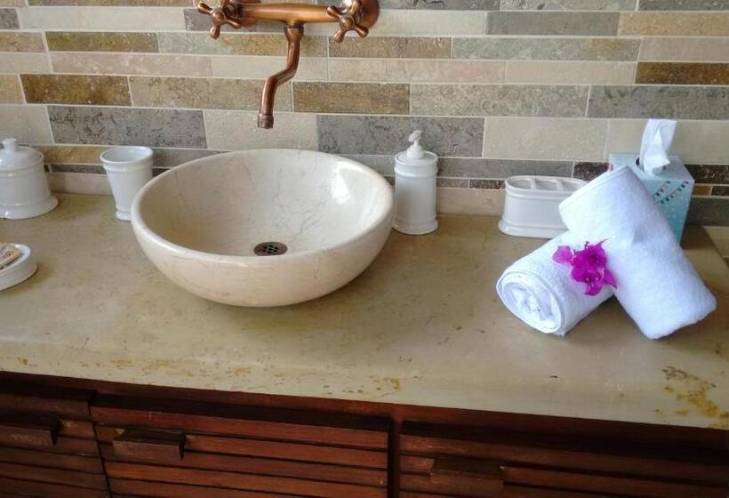 디럭스 스튜디오, Arapaima B&b