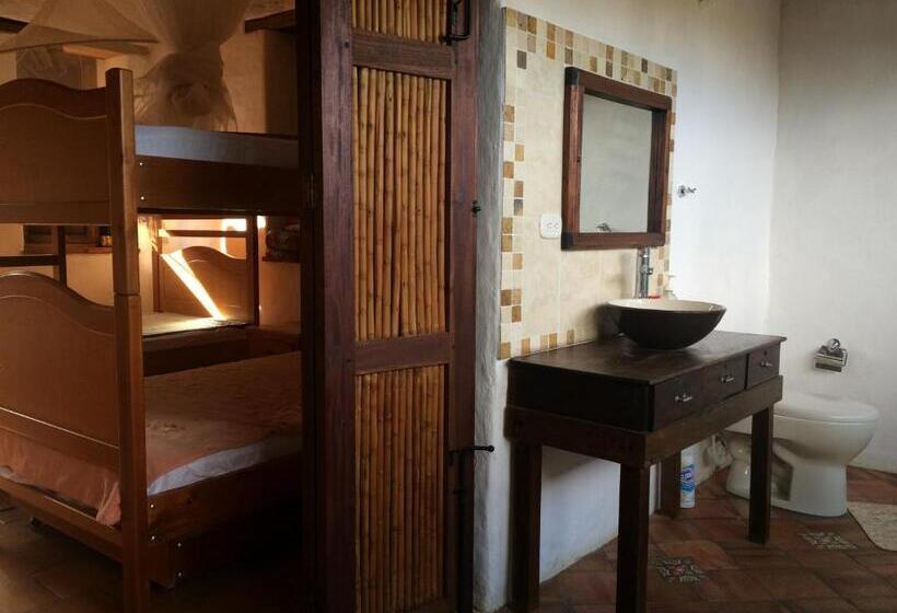 디럭스 스튜디오, Arapaima B&b