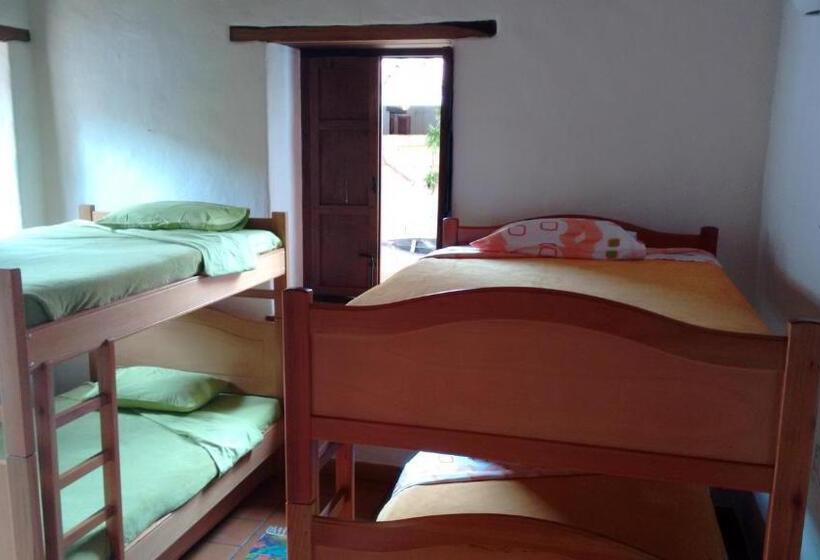 Студия Deluxe, Arapaima B&b