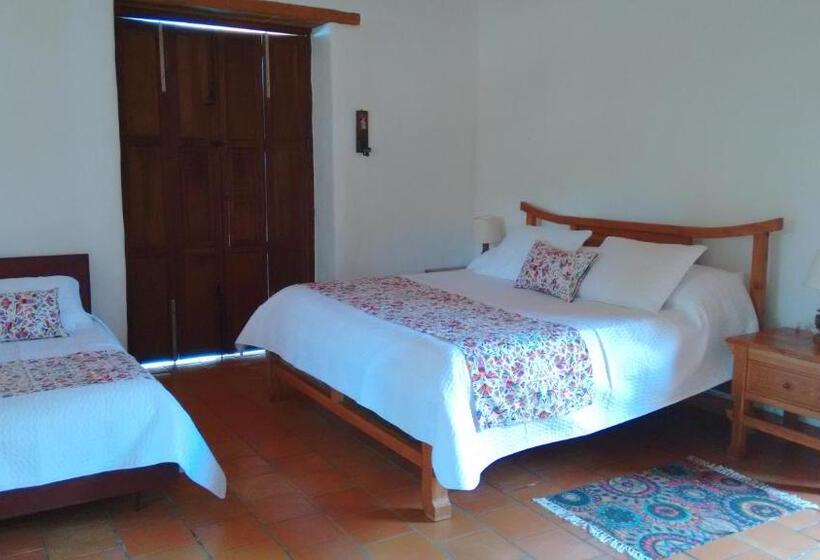 디럭스 스튜디오, Arapaima B&b