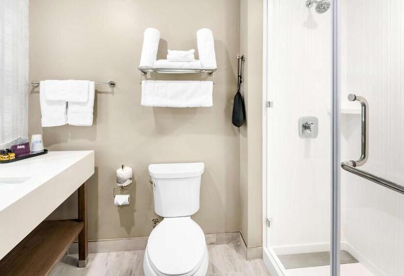 Люкс Кровать Кинг, Best Western Plus Settlers Point