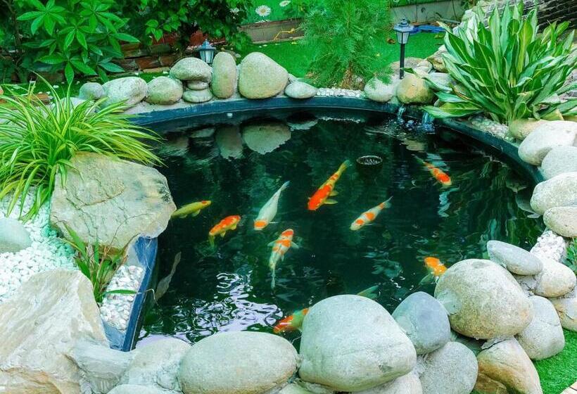 اتاق استاندارد چهار تخته, Nhà Nghỉ K House