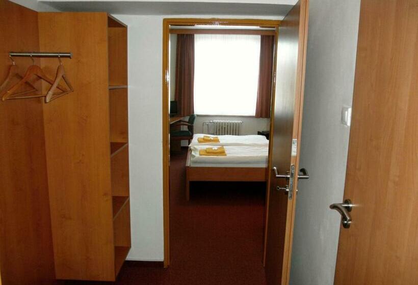 חדר סטנדרט נוף לעיר, Vysocina