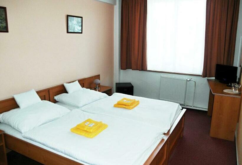 חדר סטנדרט נוף לעיר, Vysocina