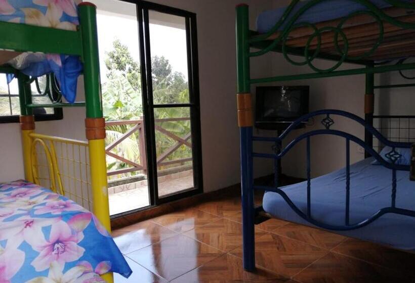 スタンダード4人部屋, Mivals