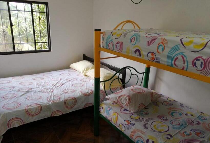 スタンダード4人部屋, Mivals