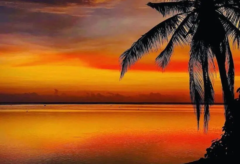 استودیوی استاندارد با چشم‌انداز دریا, Maui Palms