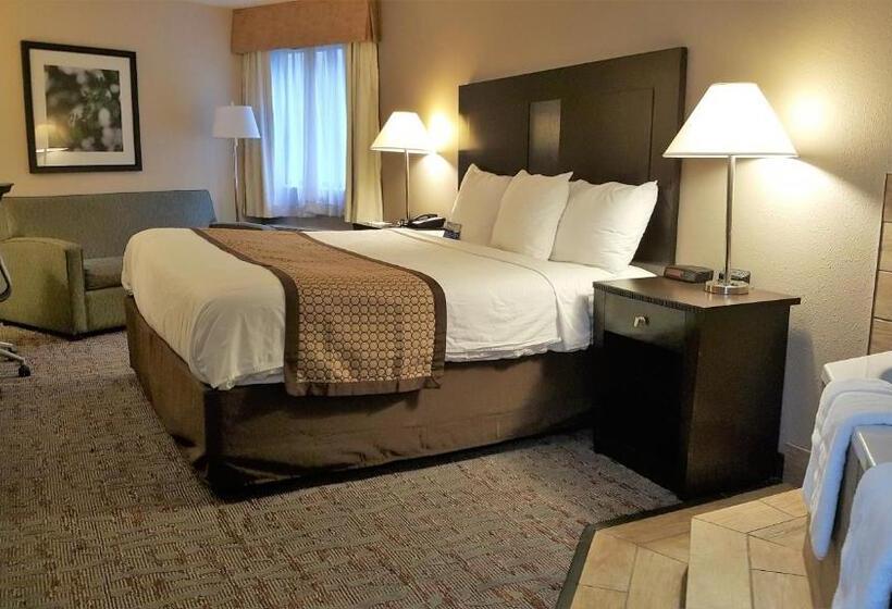 סטודיו סטנדרט, מיטה זוגית, Baymont By Wyndham Belleville Airport Area Free Airport Shuttle