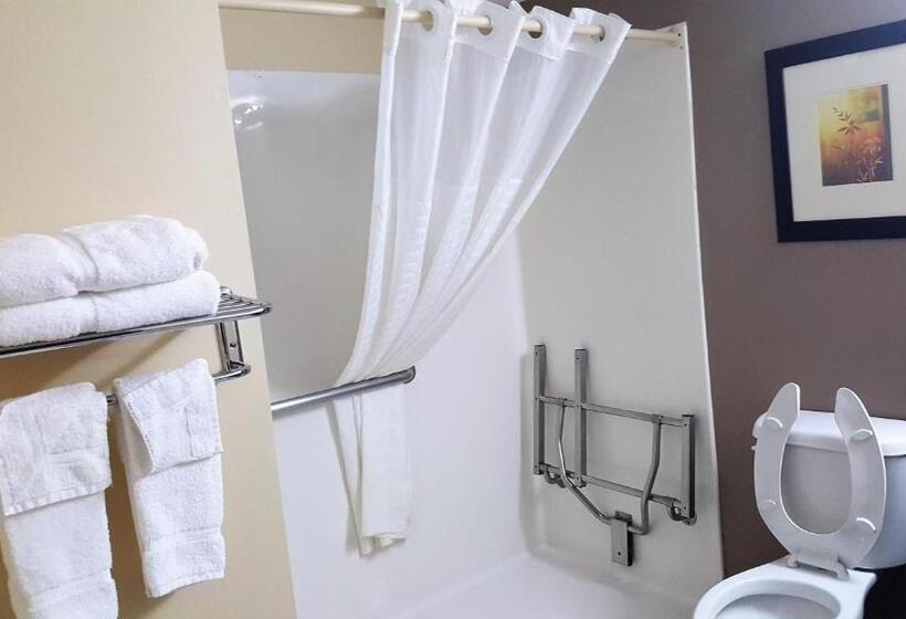 חדר סטנדרט מותאם לאדם עם מוגבלויות, Baymont By Wyndham Belleville Airport Area Free Airport Shuttle