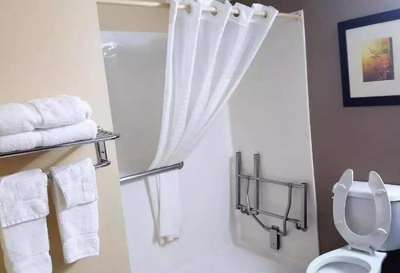 身障者適用スタンダードルーム, Baymont By Wyndham Belleville Airport Area Free Airport Shuttle