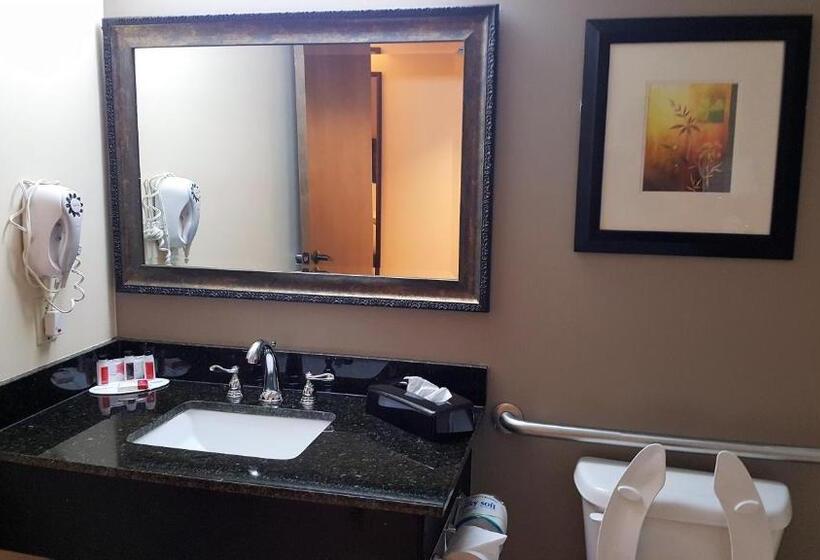 חדר סטנדרט מותאם לאדם עם מוגבלויות, Baymont By Wyndham Belleville Airport Area Free Airport Shuttle