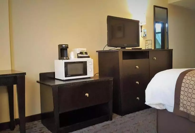 身障者適用スタンダードルーム, Baymont By Wyndham Belleville Airport Area Free Airport Shuttle