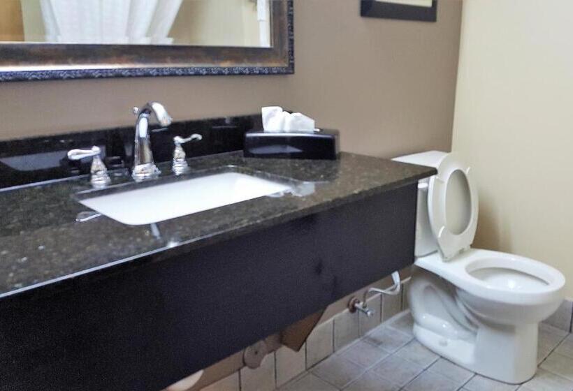 غرفة قياسية, Baymont By Wyndham Belleville Airport Area Free Airport Shuttle