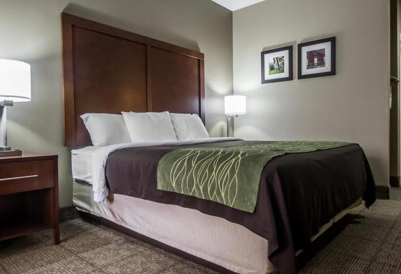 חדר סטנדרט עם מיטת קינג, Comfort Inn Amite
