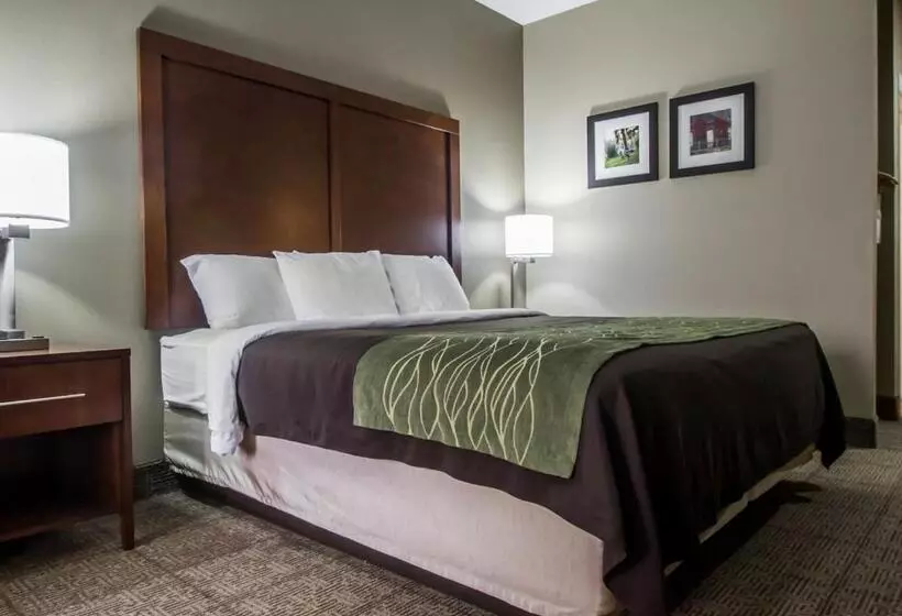キングサイズベッドのスタンダードルーム, Comfort Inn Amite