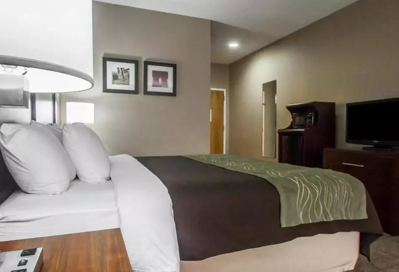 キングサイズベッドのスタンダードルーム, Comfort Inn Amite