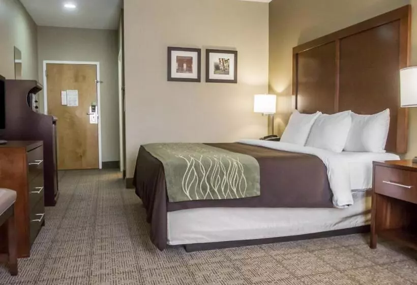 キングサイズベッドのスタンダードルーム, Comfort Inn Amite