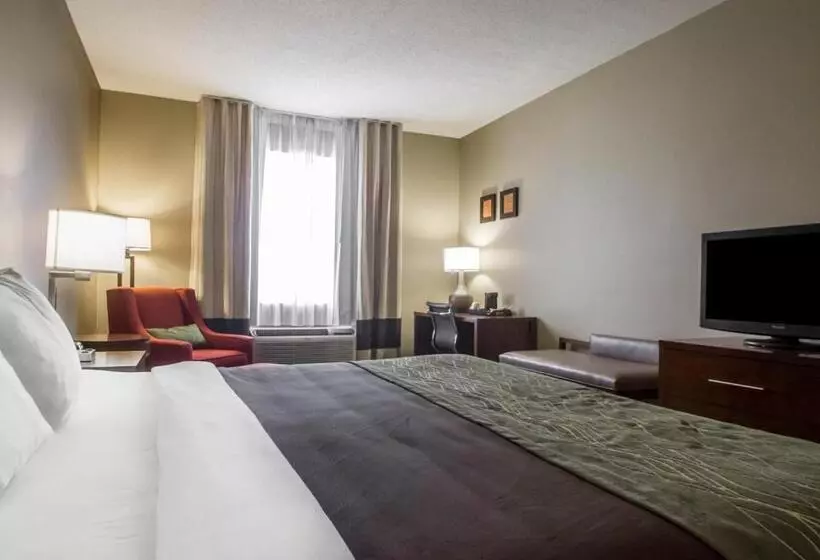 キングサイズベッドのスタンダードルーム, Comfort Inn Amite