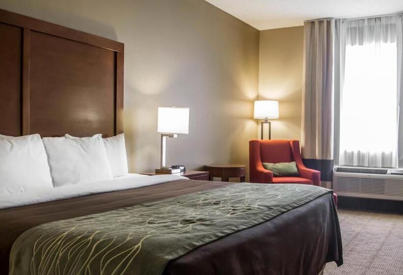 스탠다드 룸 킹사이즈 침대, Comfort Inn Amite