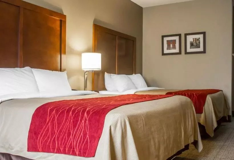 スタンダードルーム, Comfort Inn Amite