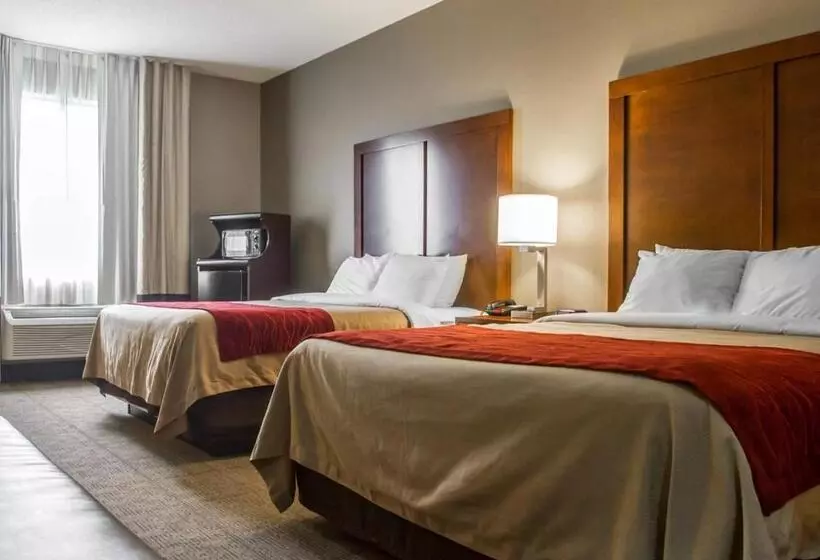 スタンダードルーム, Comfort Inn Amite
