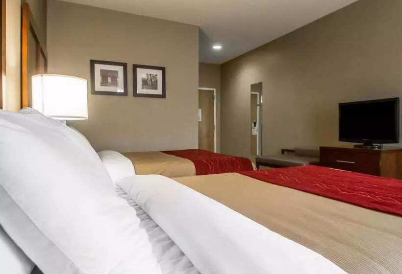 スタンダードルーム, Comfort Inn Amite