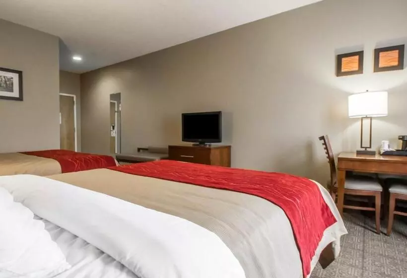 スタンダードルーム, Comfort Inn Amite