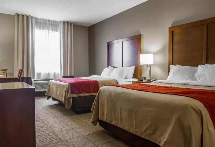 スタンダードルーム, Comfort Inn Amite
