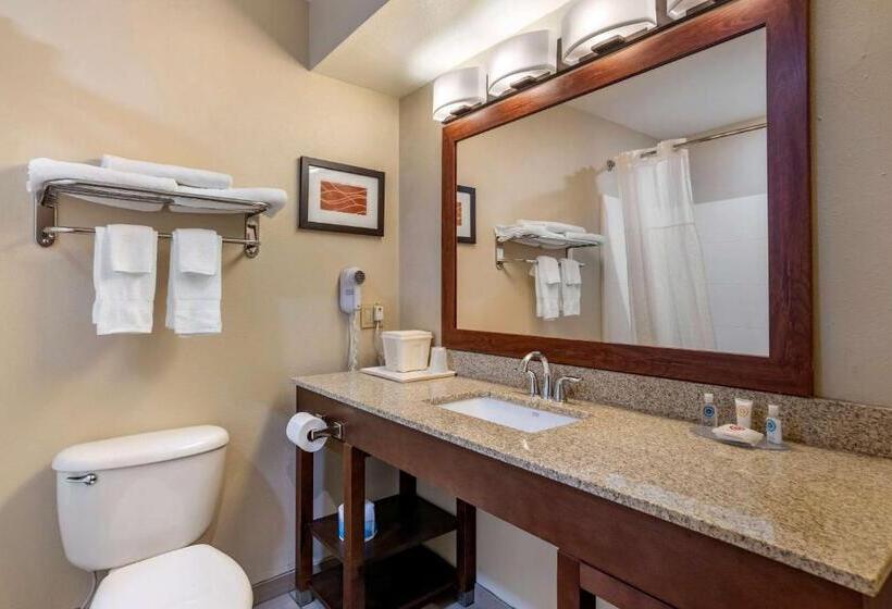 스위트 킹사이즈 침대, Comfort Inn Amite