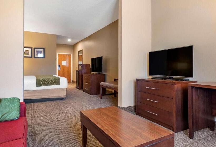מיטת קינג בסוויטה, Comfort Inn Amite