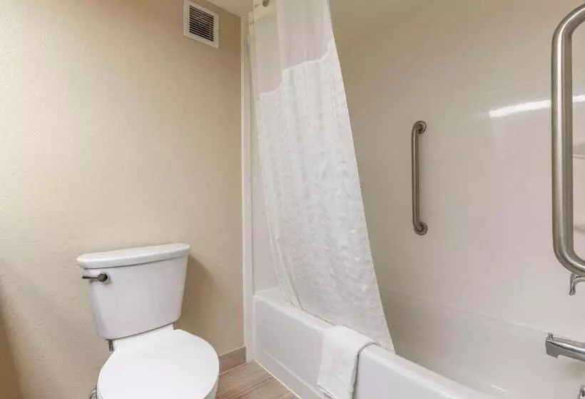 キングサイズベッドのスタンダードルーム, Comfort Inn Near Downtown & Blue Ridge Pkwy