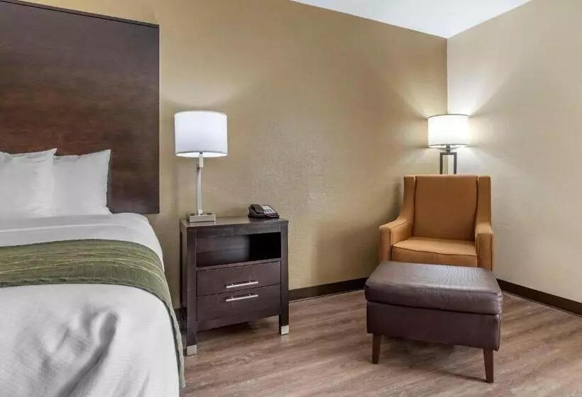 キングサイズベッドのスタンダードルーム, Comfort Inn Near Downtown & Blue Ridge Pkwy