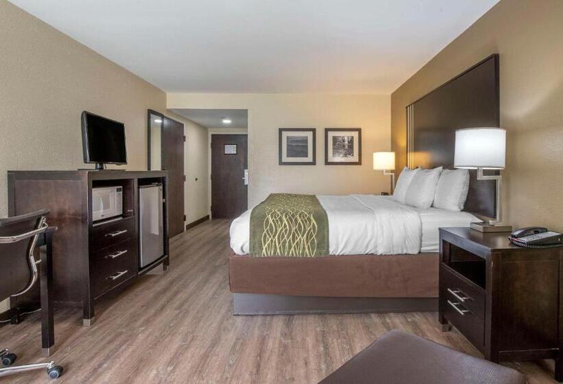 Стандартный Номер Кровать Кинг, Comfort Inn Near Downtown & Blue Ridge Pkwy