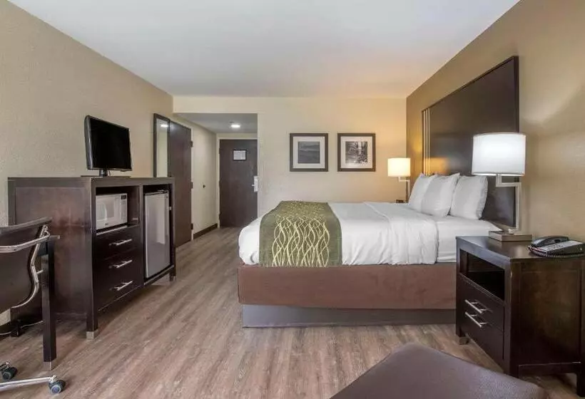 キングサイズベッドのスタンダードルーム, Comfort Inn Near Downtown & Blue Ridge Pkwy