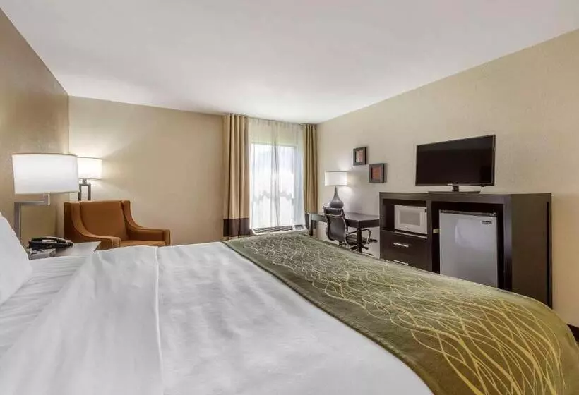 キングサイズベッドのスタンダードルーム, Comfort Inn Near Downtown & Blue Ridge Pkwy