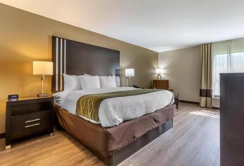 キングサイズベッドのスタンダードルーム, Comfort Inn Near Downtown & Blue Ridge Pkwy