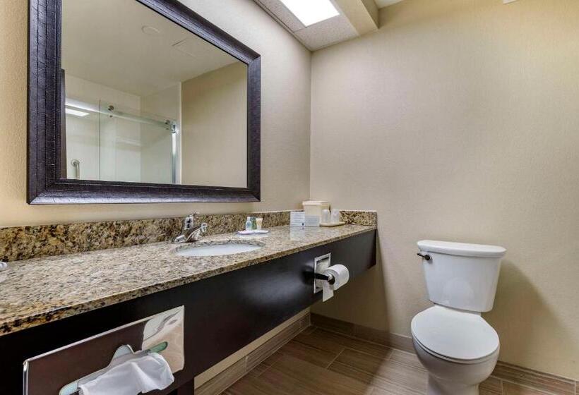 غرفة قياسية سرير كينج, Comfort Inn Near Downtown & Blue Ridge Pkwy