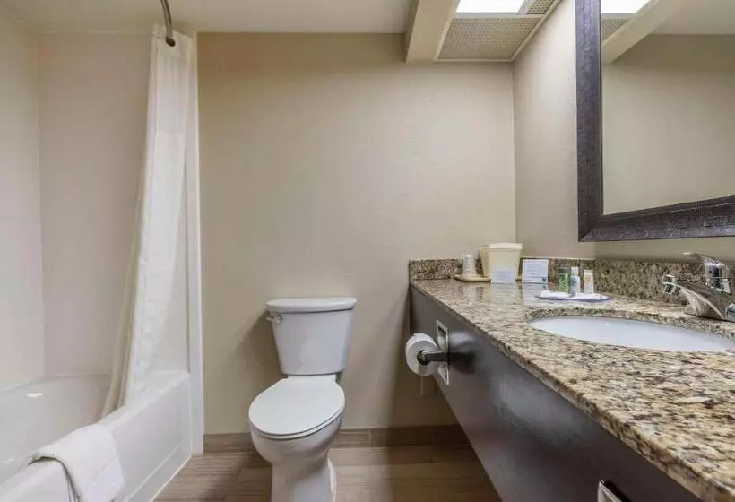 スタンダードルーム, Comfort Inn Near Downtown & Blue Ridge Pkwy